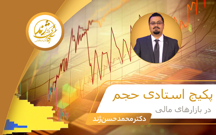 پکیج آموزشی استادی حجم